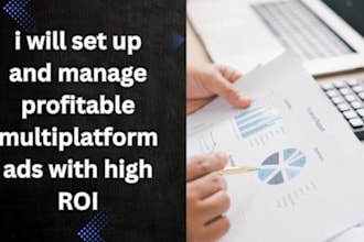 set up and manage high ROI multi platform ads that drive sales fast