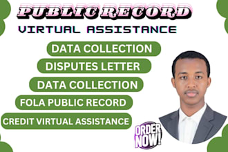 provide public records research for legal and business use