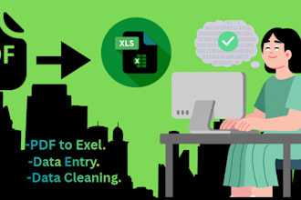 do accurate data entry and PDF to excel conversion