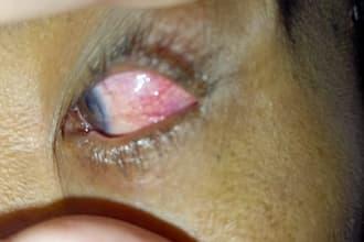 provide professional eye health guidance, tutoring and optometry content