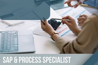 provide expert erp and financial process optimization