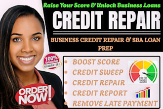 expertly repair business credit report credit score and late payment