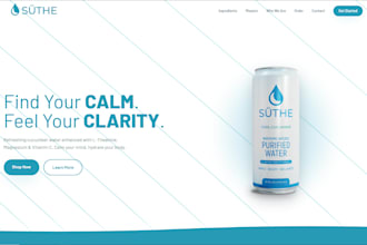 build a professional website for your business