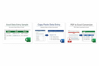 do fast and reliable data entry services