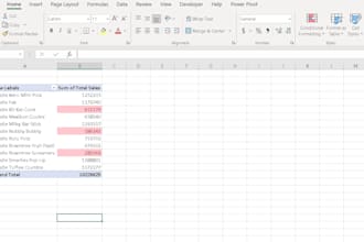excel data analysis, data formatting  and professional reporting