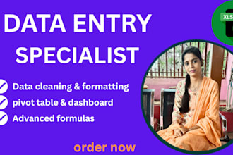 do excel data cleaning ,formatting and complex formulas