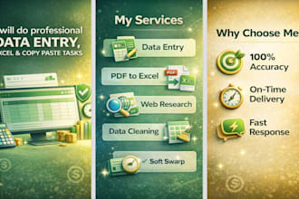 do accurate data entry, exel, web research and copy paste tasks