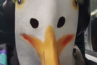 chat with you as a witty, slightly chaotic seagull