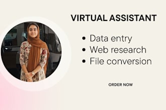 do accurate data entry and web research for small businesses