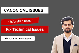 fix 404, 301, broken links, indexing and canonical errors