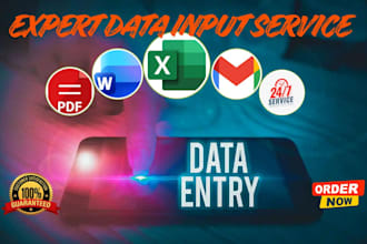 operate your data entry system professionally