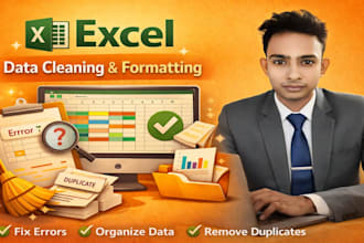excel data cleaning, formatting, and organizing
