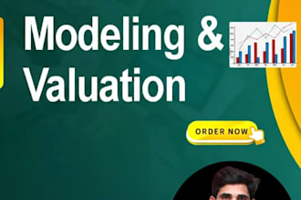 create financial models, forecasting, budget, projections, business analysis