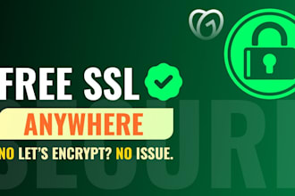 set up cloudflare, cdn, SSL, and fix any existing problems