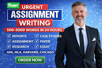 do your assignment, project work, essay writing for college and university