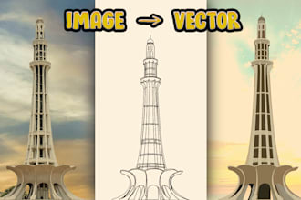 provide raster to vector conversion service