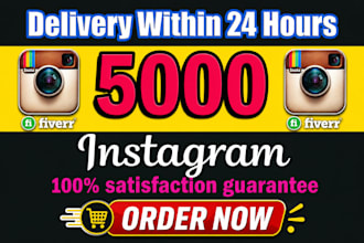 provide 5,000 instagram followers fast