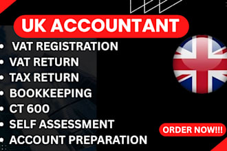 prepare and file UK company accounts and ct600 to hmrc and companies house