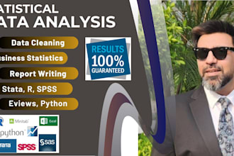 data analysis, data cleaning, business statistics, spss analysis, stata, eviews