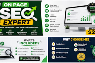 do on page, off page, technical, SEO consultant, for you