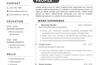 professional resume redesign with editable canva CV