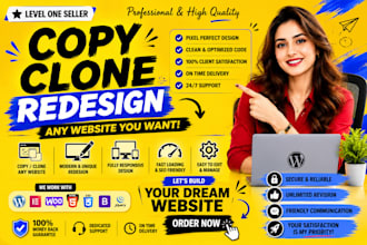 copy clone redesign your business website and landing page design