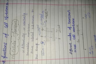 gracefully handwrite any study notes and letters