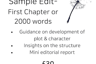 check whether your novel has potential