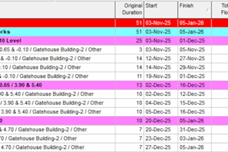 create gantt chart, wbs, and work schedule with primavera p6