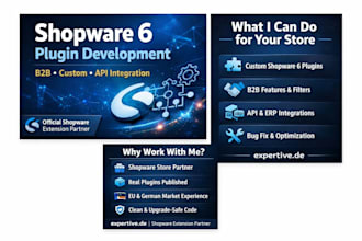 develop a professional shopware 6 plugin for b2b or custom business needs