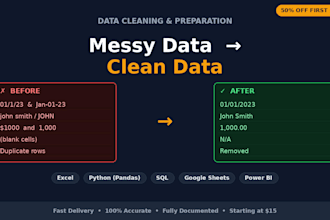 professional excel and CSV data cleaning and preparation for accurate analysis