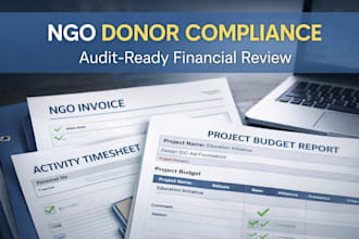 review ngo financial documents for donor compliance