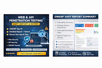web and API penetration testing with a detailed vapt report and retest