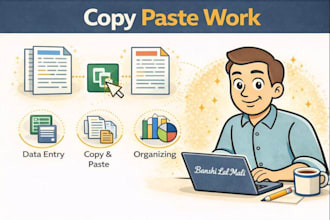 do copy paste and data entry