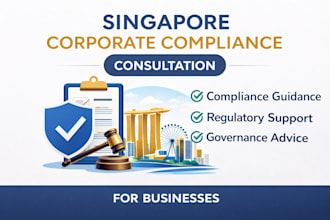 provide singapore corporate compliance consultation for businesses