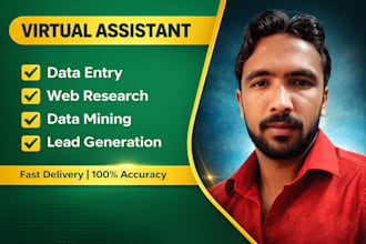 do accurate data entry, copy paste and web research in excel