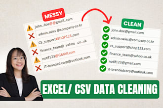 professionally clean messy excel or CSV data