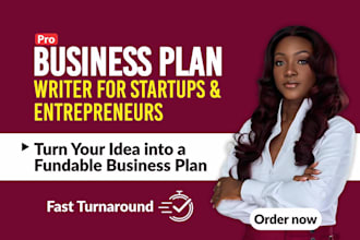 write investor ready business plan, pitchdeck,financial plan