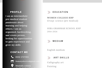design professional CV and  resume design