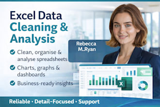 clean, analyse and visualise your excel data