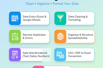 do accurate data entry and excel data cleaning