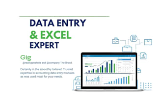 professional data entry, excel reports, dashboards and financial modelling