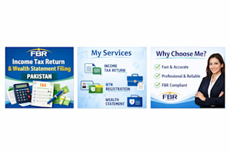 handle complete fbr tax return and wealth statement