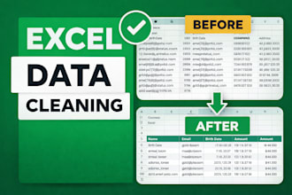 clean, organize and format your microsoft excel spreadsheet data