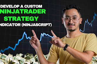 develop a custom ninjatrader strategy or indicator ninjascript