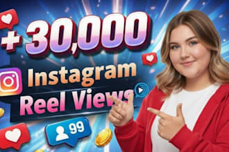 organize 10,000 instagram reels views