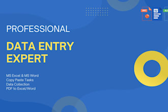 do accurate data entry and ms office tasks for you