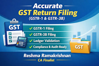 do professional gst return filing in india