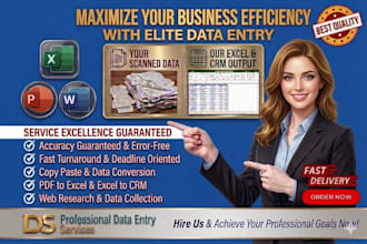 accurate data entry and excel work