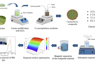 create a graphical abstract and scientific illustrations